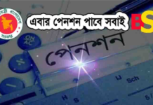 ব্যক্তিগত পেনশন বীমা পলিসি ব্যক্তিগত পেনশন বীমা পলিসি