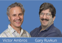 চিকিৎসাশাস্ত্রে নোবেল পুরস্কার পেলেন ভিক্টর অ্যামব্রোস ও গ্যারি রুভকুন চিকিৎসাশাস্ত্রে নোবেল পুরস্কার