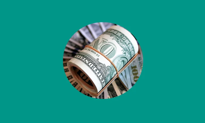 remit flow রেমিট্যান্স বেড়েছে